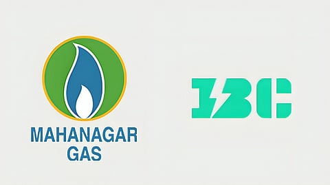 Mahanagar Gas, International Battery Co