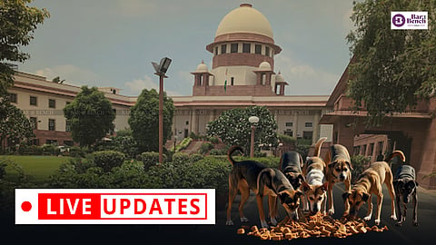Supreme Court, stray dogs