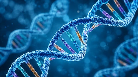 DNA