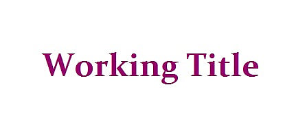 Working Title The Lawyer and the Film Maker