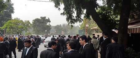 lawyers