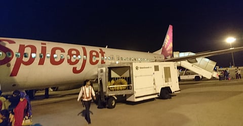 Spicejet