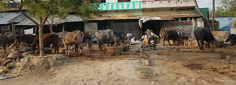 #FodderScam:Supreme Court criticises Jharkhand High Court judgment, comes down on CBI for delay [Read Order]