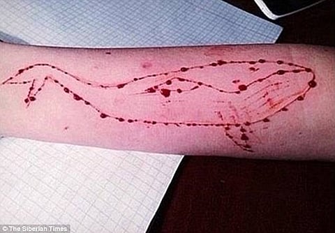 Delhi High Court issues notice to Facebook, Google, Yahoo in a plea against deadly Blue Whale game