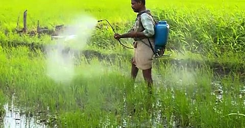 Endosulfan compensation: Supreme Court issues notice to Kerala in contempt petition by victims