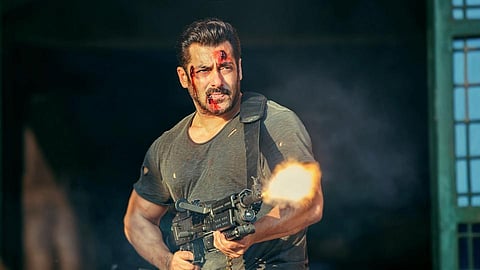 Jodhpur court convicts Salman Khan in Blackbuck Poaching case