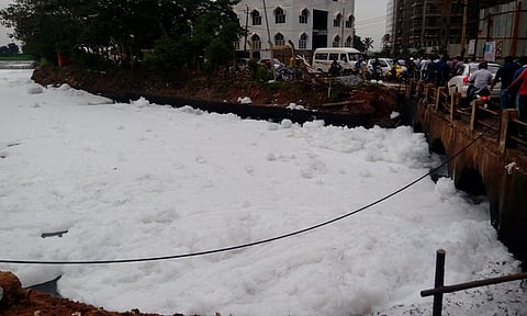 The cost(s) of negligence: NGT imposes heavy penalties on Karnataka for failure to protect Bangalore lakes