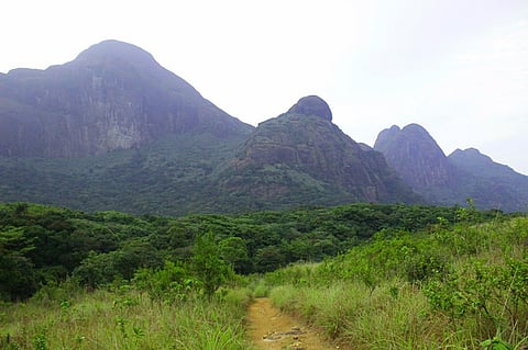 Gender-based restrictions cannot be imposed, Kerala HC rules women can trek to Agasthyarkoodam