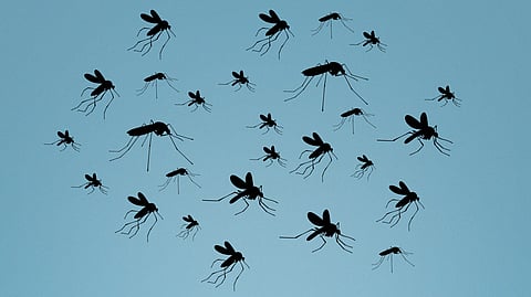 Is Death due to Malaria from Mosquito Bite a Death due to Accident? Supreme Court answers