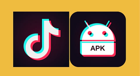 Madras HC order based on exaggerations made by petitioner: TikTok in Supreme Court