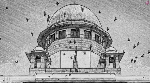 Column: Decoding the Tribunal Judgment