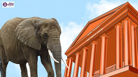 Elephant and Karnataka HC