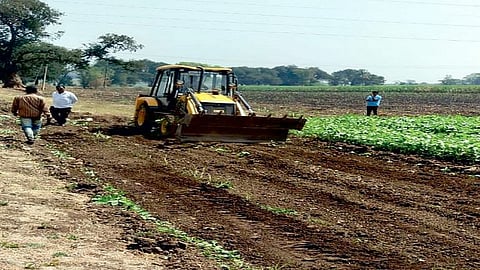 Kolhapur farm