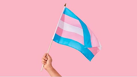 Transgender pride 
