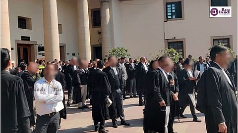 Lawyers