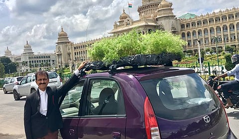 Car Garden