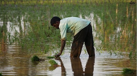 Farmer