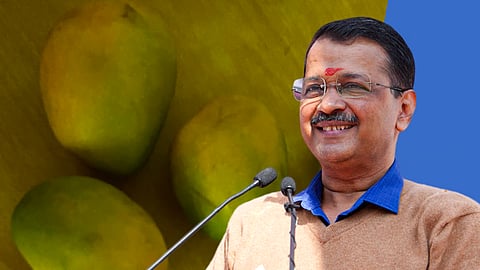 Arvind Kejriwal and Mangoes

