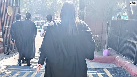 Woman lawyer
