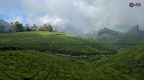 Hill Station - Munnar