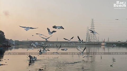 Yamuna river
