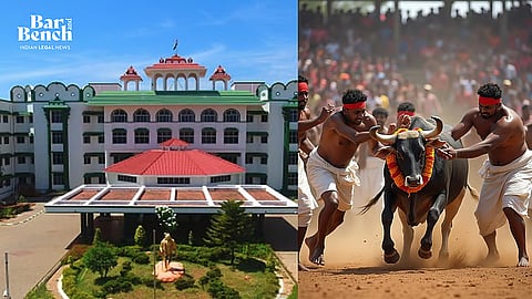 Madurai Bench of Madras HC and Jallikattu Ai image
