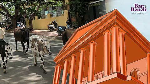 ಕಳವಾದ ಹಸುಗಳನ್ನು ಬಿಟ್ಟು ನೈಜ ಅಪರಾಧಗಳ ಬೆನ್ನತ್ತಿ: ಕರ್ನಾಟಕ ಪೊಲೀಸರ ಕಿವಿ ಹಿಂಡಿದ ಹೈಕೋರ್ಟ್‌