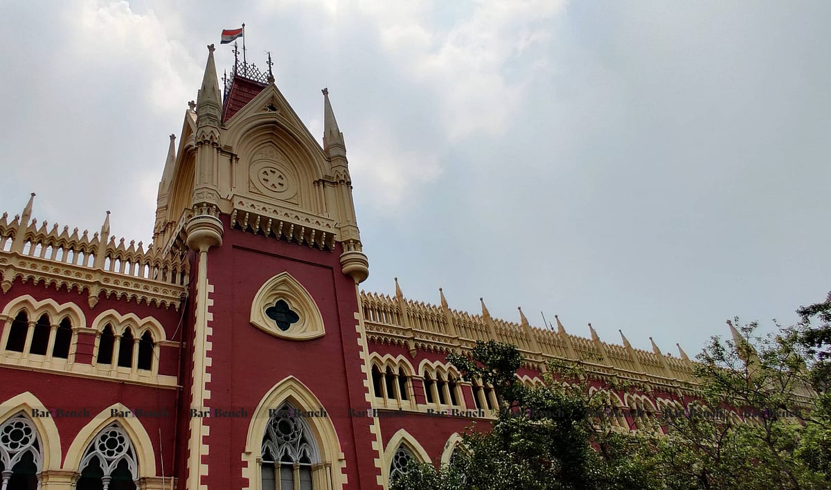 Calcutta High Court admits challenge to Customs action on imported adult sex toys, says authority cannot invoke subjective morality