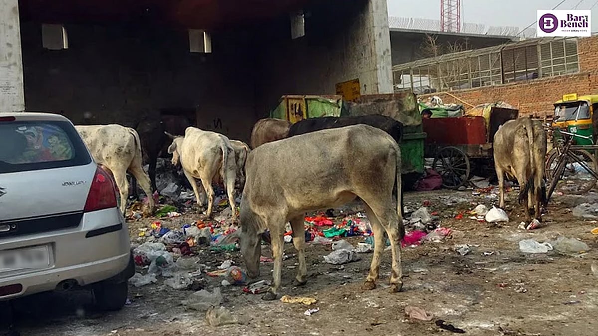 Supreme Court Directs MoEF&CC to Formulate Compensation Guidelines for Waste Violations