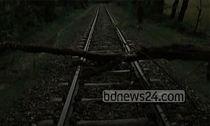 ঝড়ে গাছ রেললাইনে, অল্পের জন্য রক্ষা পেল ৪০০ যাত্রী