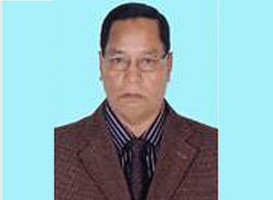নীলফামারীর ডোমারে স্বতন্ত্র প্রার্থী জয়ী