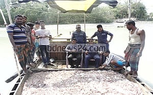 ভোলায় ১০ মণ চিংড়ি আটক