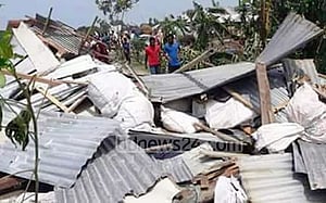 শরীয়তপুরে ঝড়ে গাছচাপায় গৃহবধূর মৃত্যু