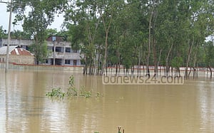 বাঁধ ভেঙে মৌলভীবাজারে শতাধিক গ্রাম প্লাবিত