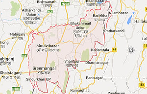 গাছ ভেঙে পড়ে সিলেটের পথে এক ঘণ্টা ট্রেন বন্ধ