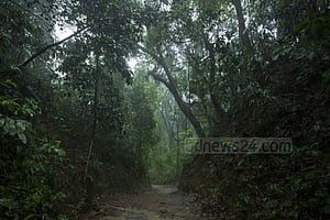 ছবিতে লাউয়াছড়া জাতীয় উদ্যান
