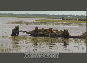 ‘অখন সারা বছর কিলা খাইমু বুঝরাম না’