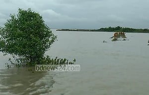 সড়কে গাছ পড়ে ভোলা-চরফ্যাশন যান চলাচল বন্ধ