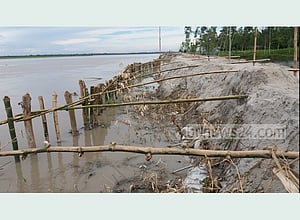 লালমনিরহাটে তিস্তা ও ধরলায় ভাঙন