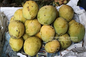 যেসব ফল ওজম কমায় না