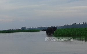 দুর্বল হয়ে পড়েছে হাতিটি