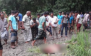 ছোটভাইকে কুপিয়ে হত্যা করল ‘বড়ভাই’