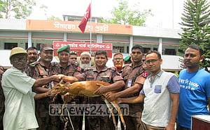 ‘জবাই’ করার সময় মৌলভীবাজারে হরিণ উদ্ধার