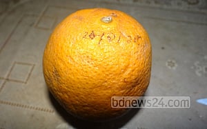 ‘এক বছরেও’ পচেনি মালটাটি