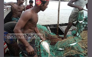 ‘দুই হাজার টাকায় ২০ ইলিশ’