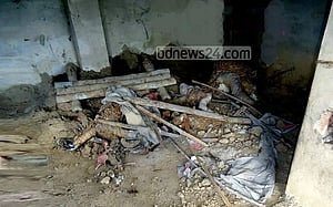 নেত্রকোণায় কালী মন্দিরে প্রতিমা ভাংচুর