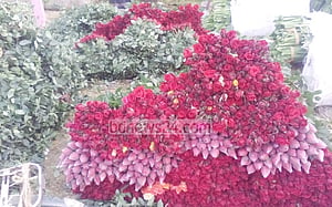 প্রত্যাশায় চনমনে গদখালির ফুল বাজার
