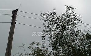 বিদ্যুৎস্পৃষ্টে ৪ জনের মৃত্যুর ঘটনা তদন্তে কমিটি