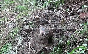 মাটি খুঁড়ে নিখোঁজ ব্যক্তির গলিত লাশ উদ্ধার