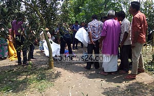 ঠাকুরগাঁওয়ে আমবাগানে তরুণ-তরুণীর লাশ